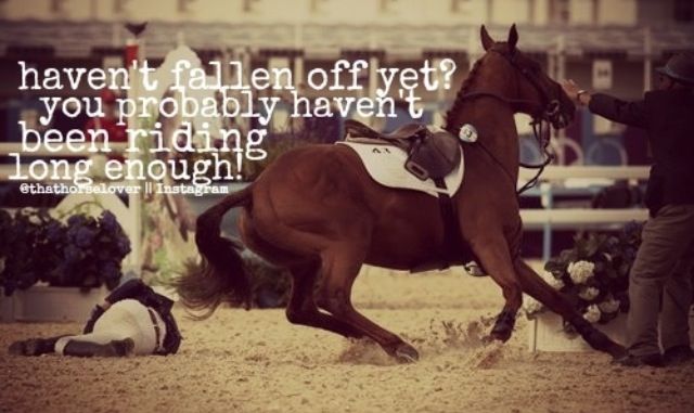 Quotes About Horseback Riding. QuotesGram