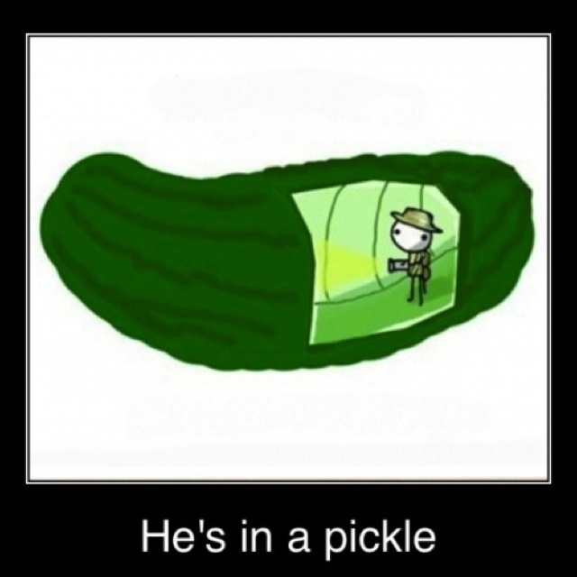 Pickle Quotes.