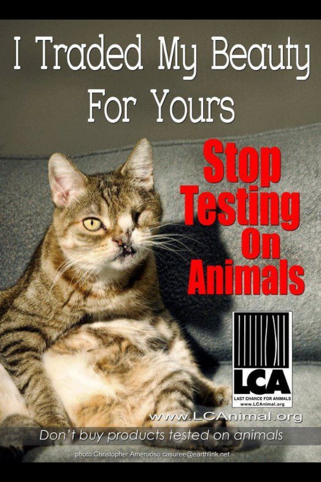 Stop Animal Testing Quotes QuotesGram