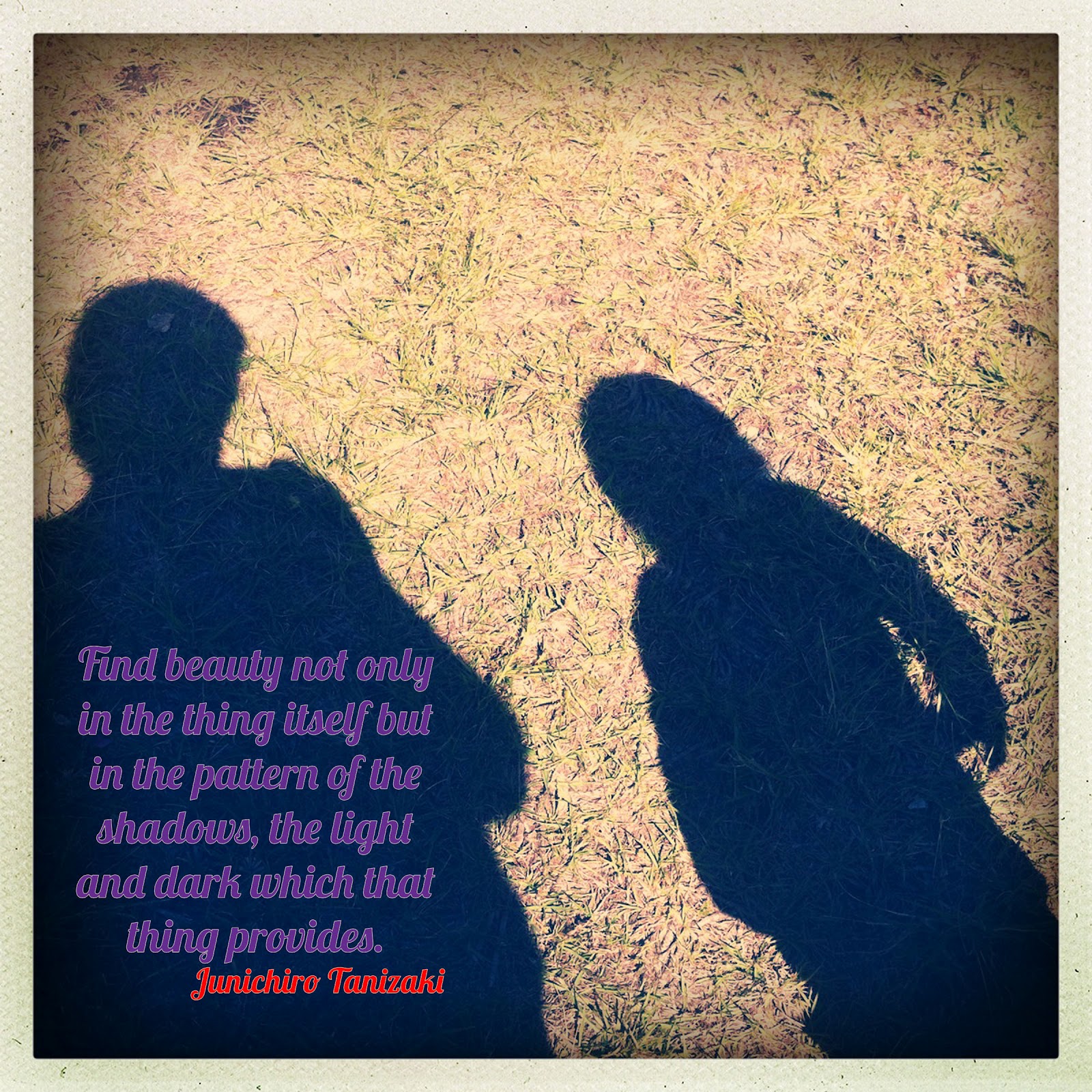 Shadow Of Love Quotes. QuotesGram