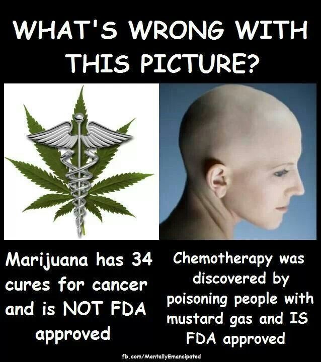 Quotes About Medical Marijuana. QuotesGram