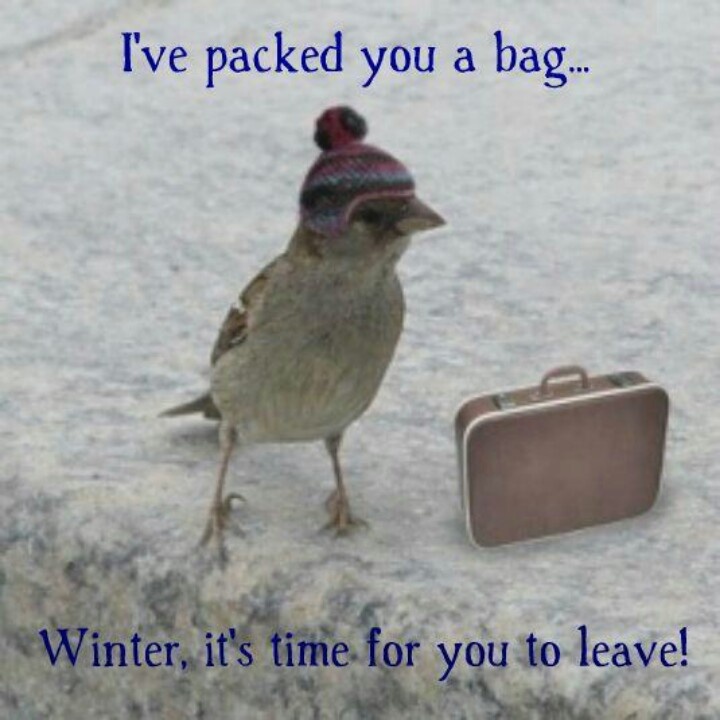 Goodbye Winter Quotes QuotesGram goodbye-winter-quotes-quotesgram