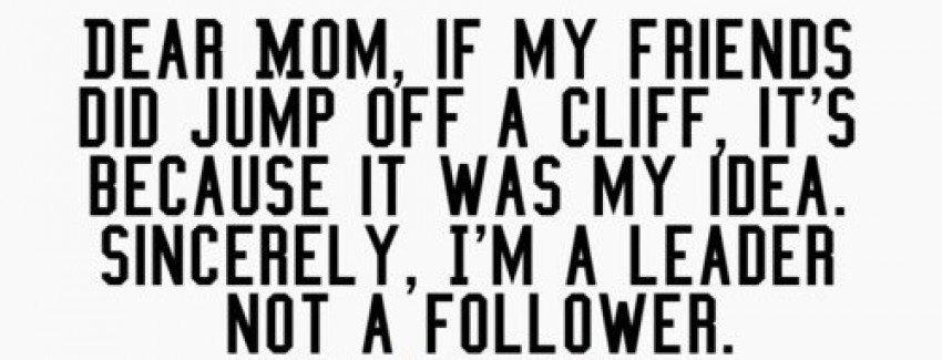 Im A Leader Not A Follower Quotes. QuotesGram
