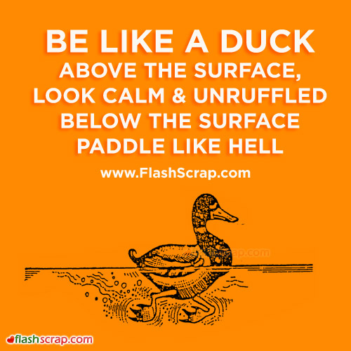 Duck Inspirational Quotes. QuotesGram