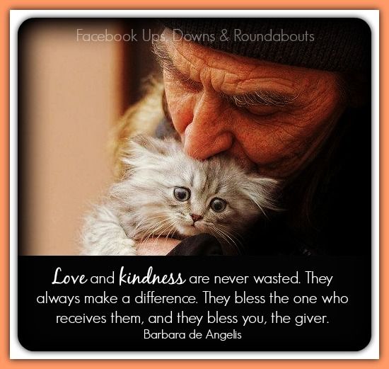 Quotes By The Giver Lily. QuotesGram