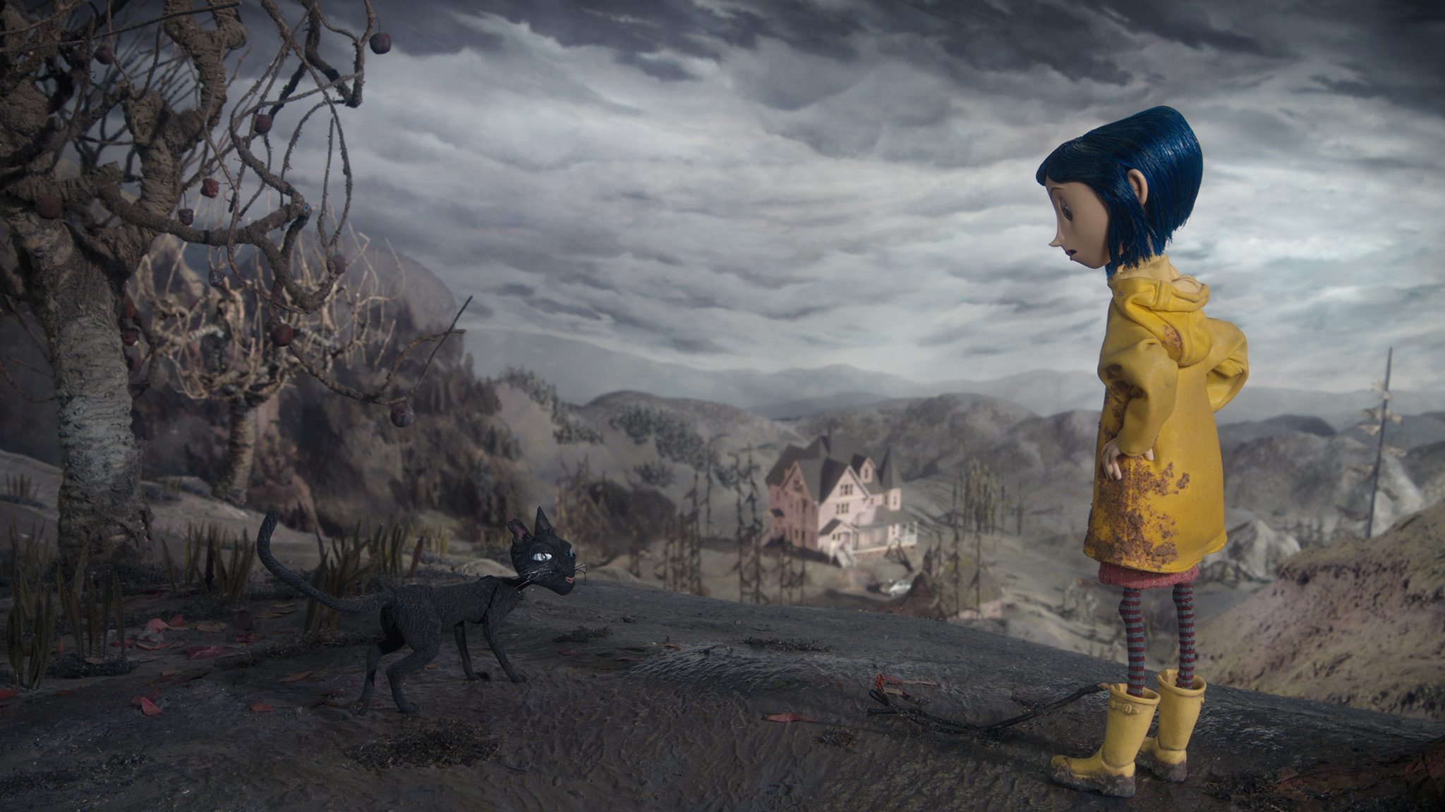 The Cat From Coraline Quotes. QuotesGram