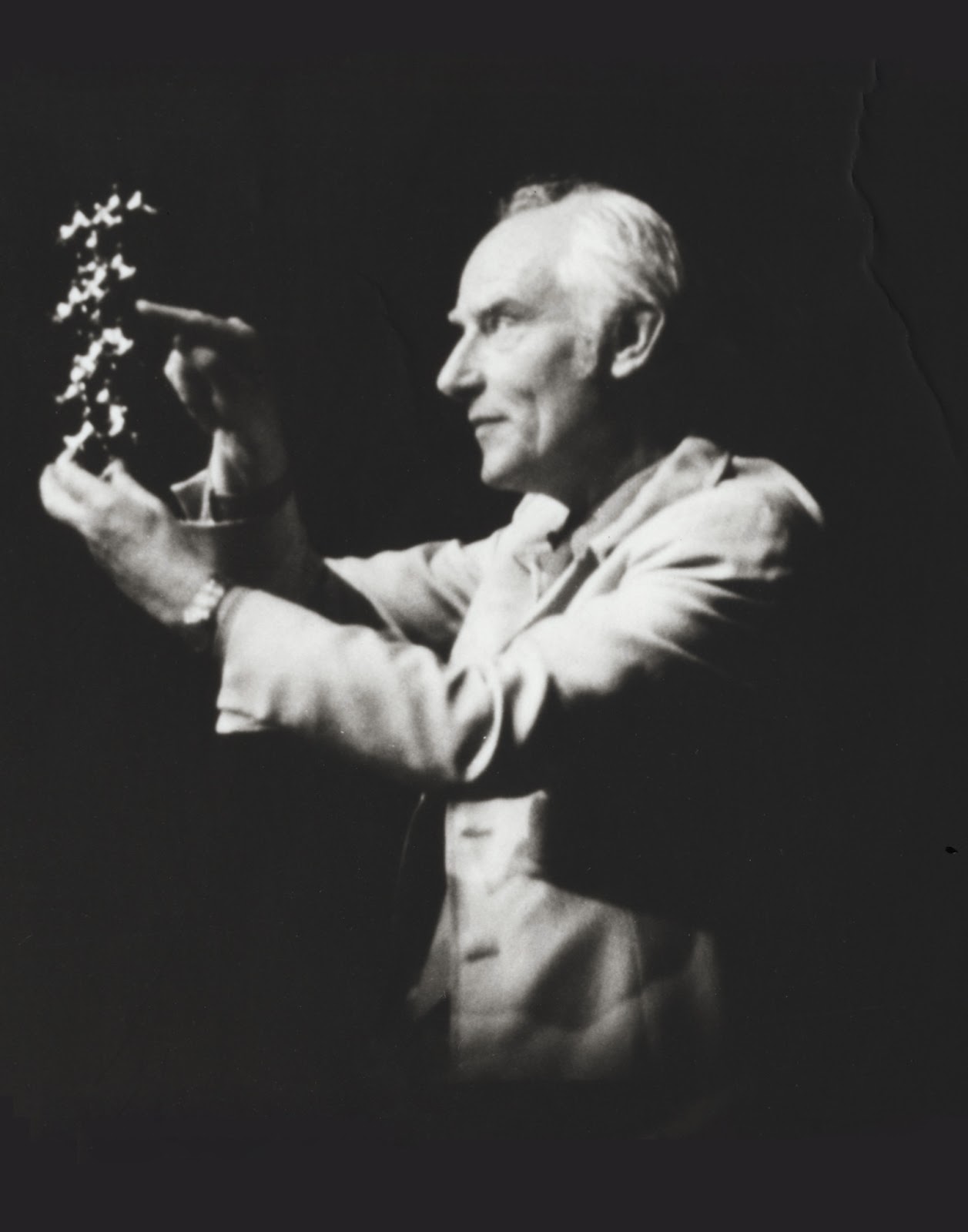 Watson And Crick Quotes. QuotesGram