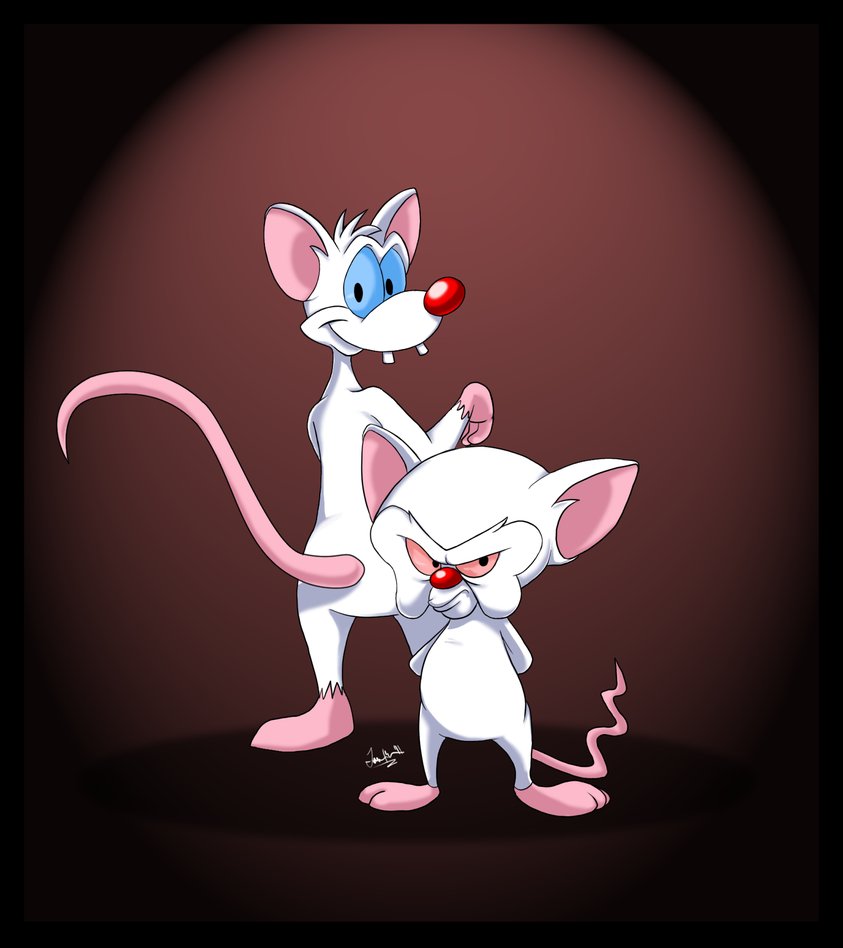 Pinky and brain. Крысы Пинки и Брейн. Мышонок Брейн и Пинки.