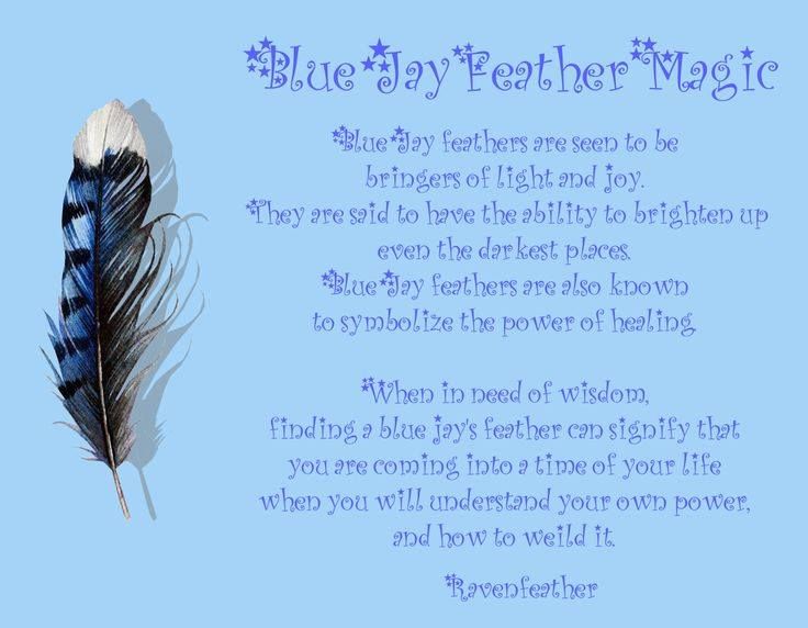 Blue Feathers And Quotes Quotesgram Blue Feathers And Quotes Quotesgram
