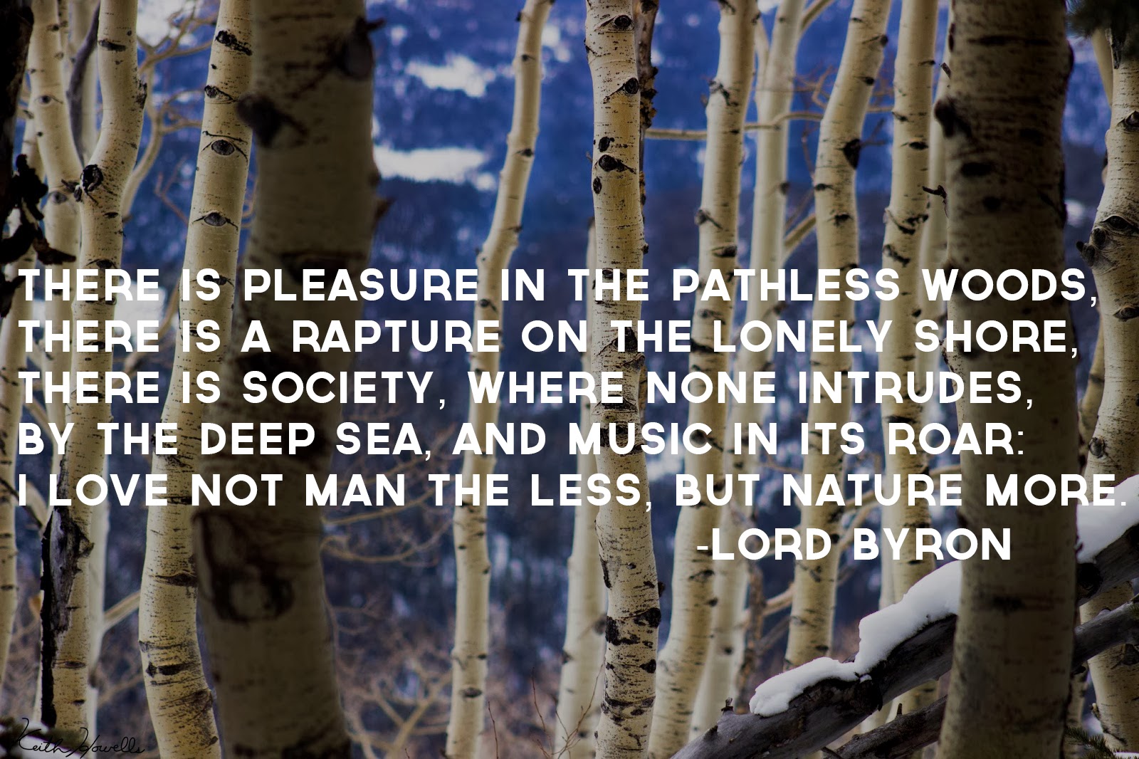 Into The Wild Quotes. QuotesGram