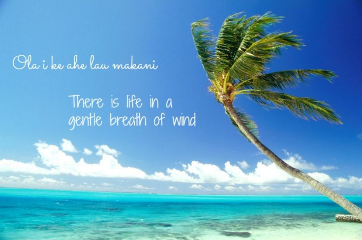 Inspirational Hawaiian Quotes Hawaiian Proverbs. QuotesGram