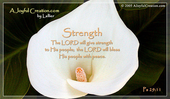 Inspirational Quotes About Family Strength. QuotesGram