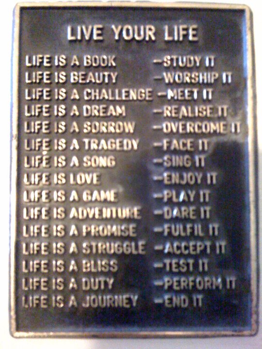 funny-but-true-quotes-quotesgram
