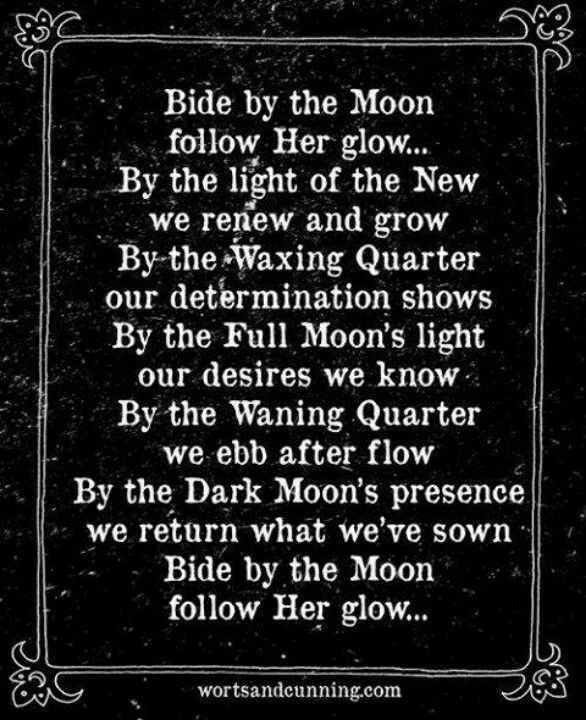 Moonshine Sayings And Quotes. QuotesGram