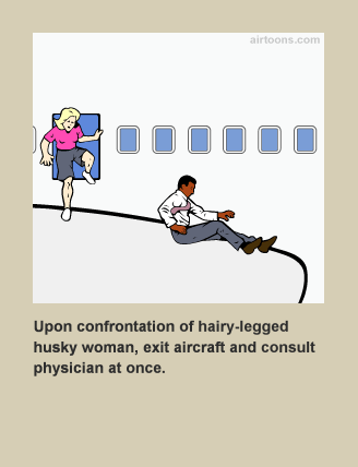 Funny Aviation Safety Quotes Quotesgram