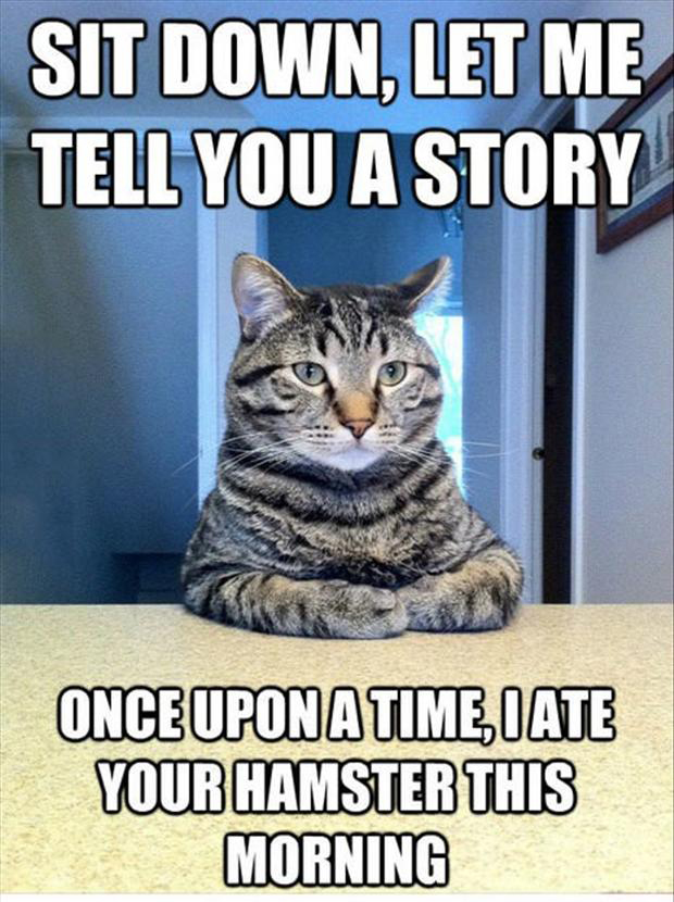 Funny Quotes About Cats. QuotesGram