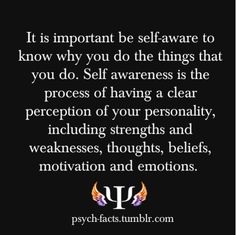 Self Awareness Funny Quotes Quotesgram