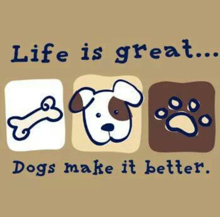 Dogs Are Better Than People Quotes QuotesGram dogs-are-better-than-people-quotes-quotesgram