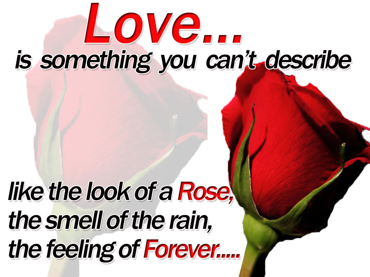 Always And Forever I Love You Baby Quotes Quotesgram Always And Forever I Love You Baby Quotes Quotesgram
