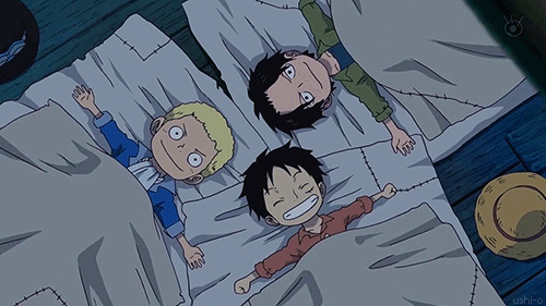 Quotes From One Piece Asl Quotesgram