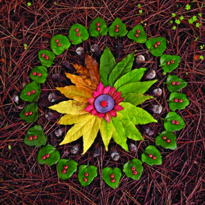 Nature's Divine Beauty