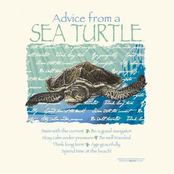 Turtle Quotes And Sayings. QuotesGram
