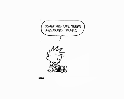 Calvin And Hobbes Quotes On Love. QuotesGram
