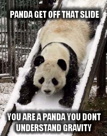 Quotes With Pics Of Baby Pandas. QuotesGram