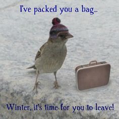 Go quotes winter away Winter quotes