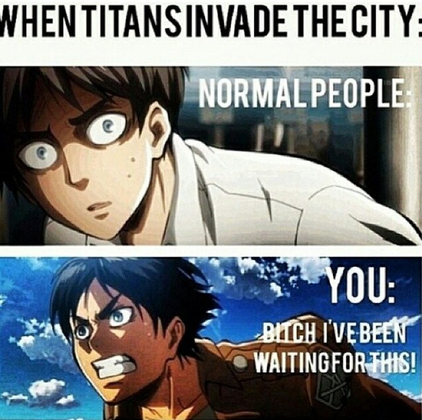 Attack On Titan Memes Anime Amino