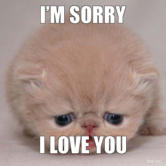  102 I m Sorry I Love You 