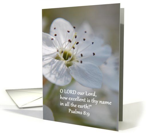 Apple Blossom Quotes. QuotesGram