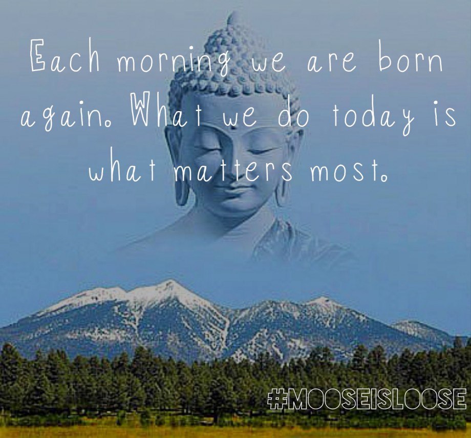 Morning Buddha Quotes. QuotesGram