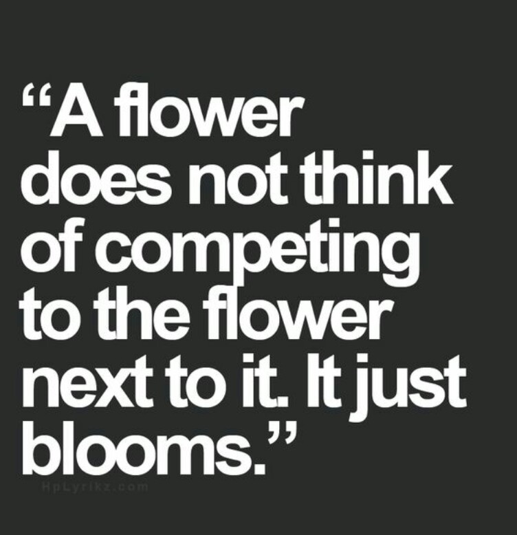 Funny Quotes About Competition. QuotesGram