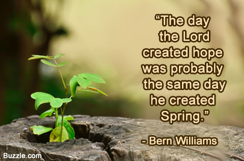 Funny Spring Quotes. QuotesGram