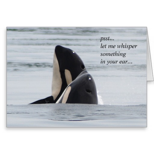 Whale Quotes. QuotesGram