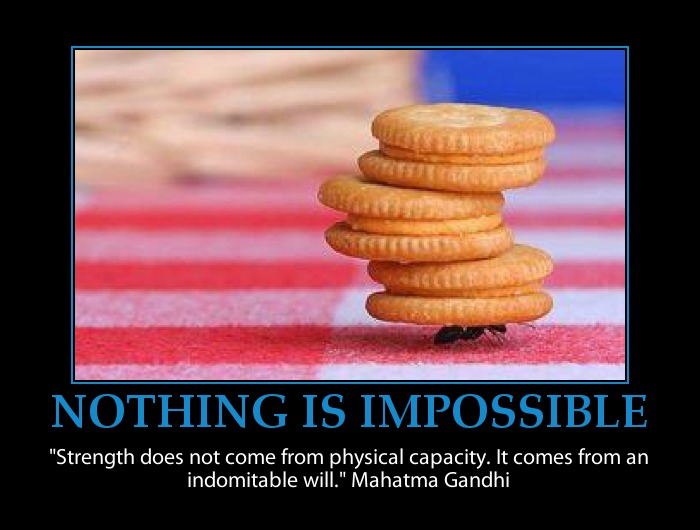 Inspirational Quotes Resilience. QuotesGram