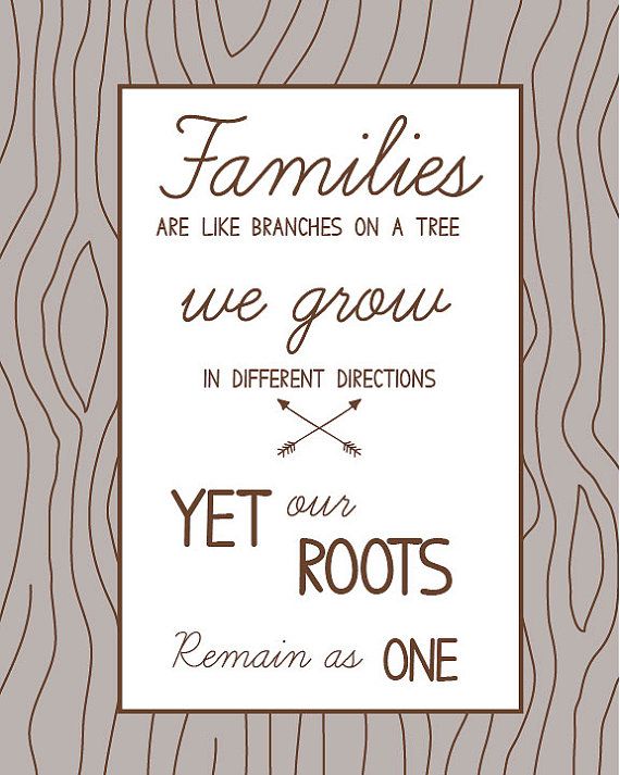 Roots Family Quotes