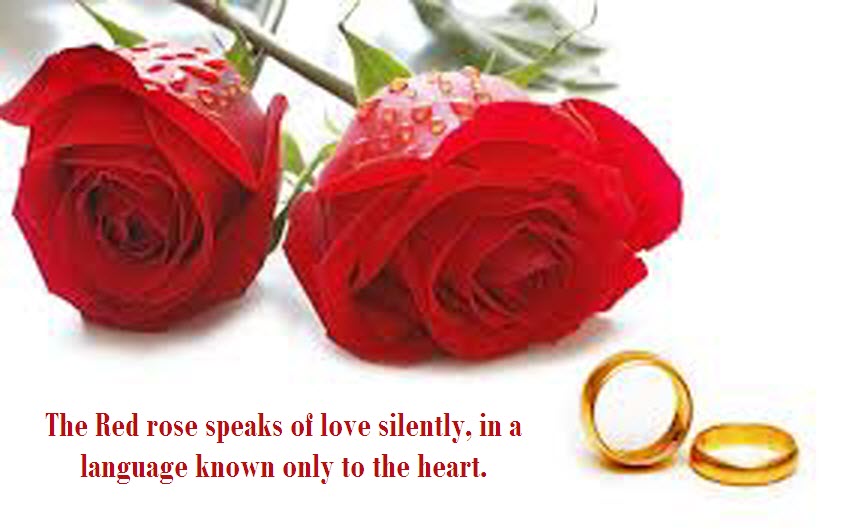 Red Love Quotes Quotesgram