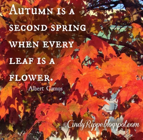Autumn Leaves Quotes. QuotesGram