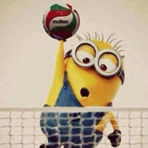 Minion Quotes About Sports. QuotesGram