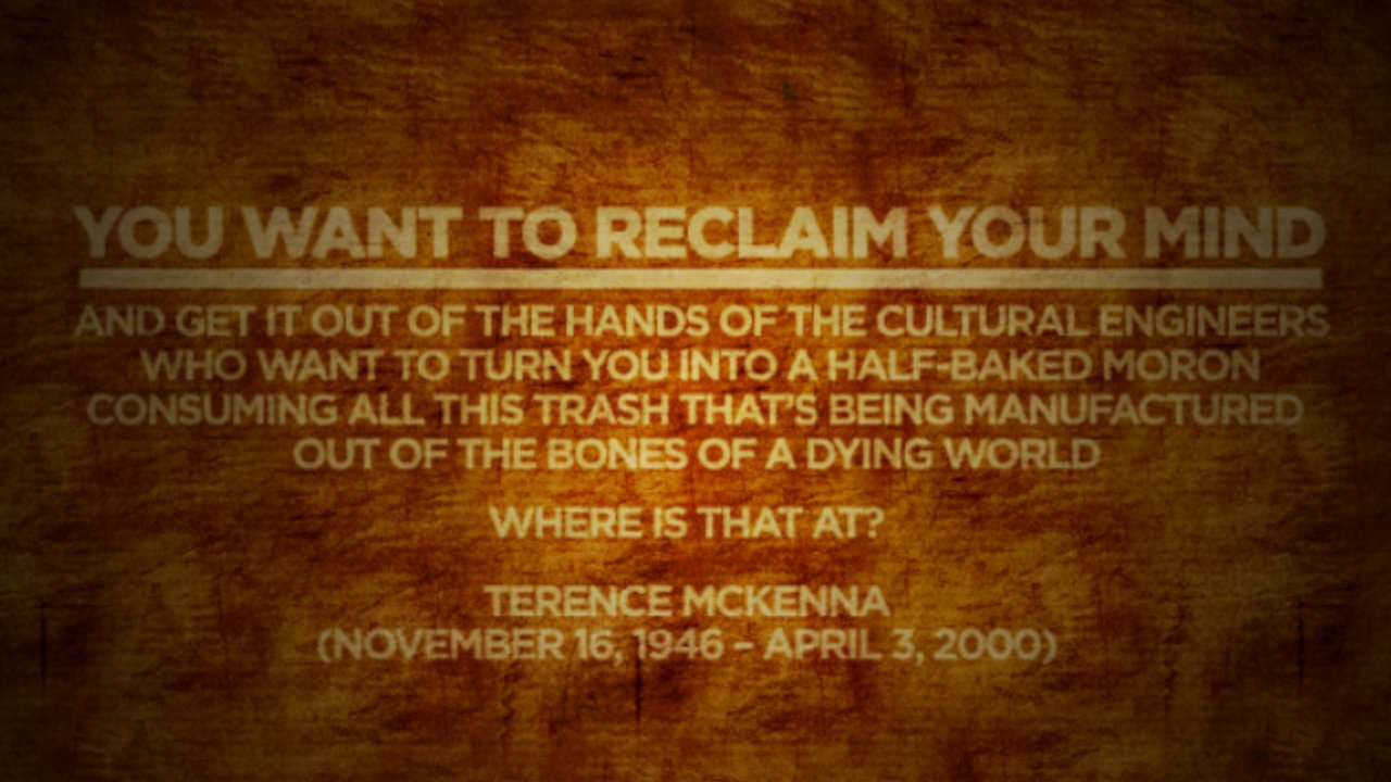 Terence Mckenna Quotes Mushrooms. QuotesGram