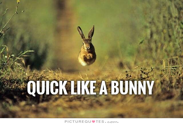 Cute Bunny Quotes. QuotesGram