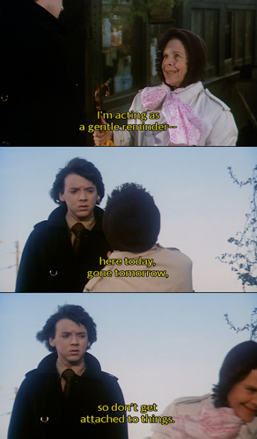 Gentle Reminder Quote from Harold and Maude