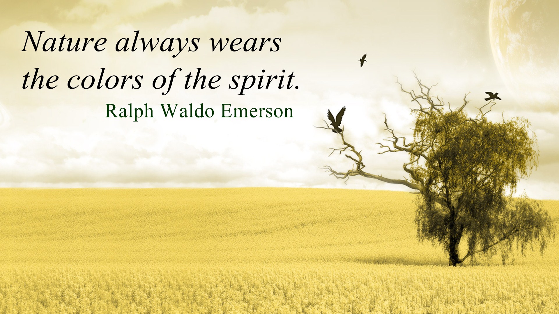Nature By Ralph Waldo Emerson Quotes QuotesGram