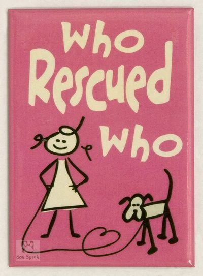 Pet Adoption Quotes. QuotesGram