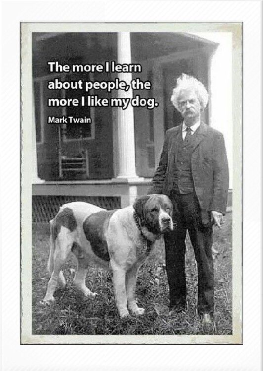 Dogs Are Better Than People Quotes. QuotesGram