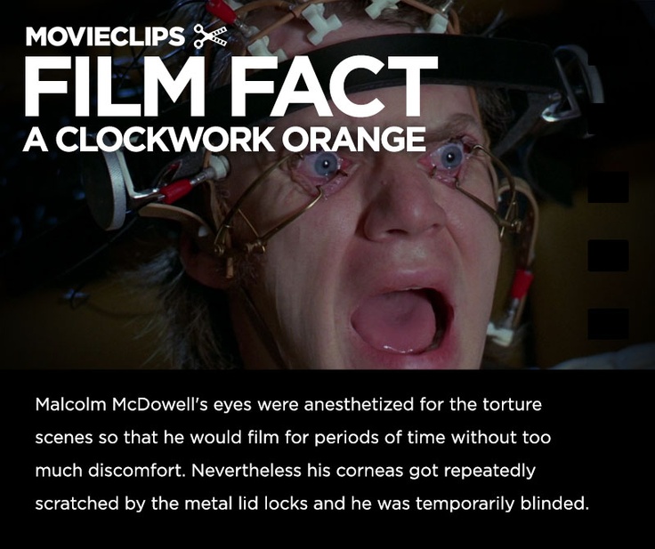 Clockwork Orange Movie Quotes. QuotesGram