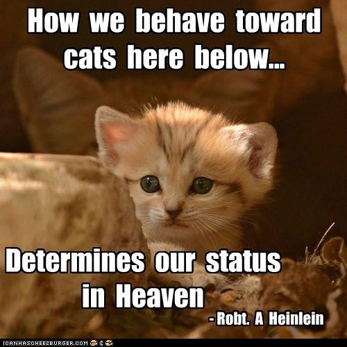 Image result for heinlein quote about kittens