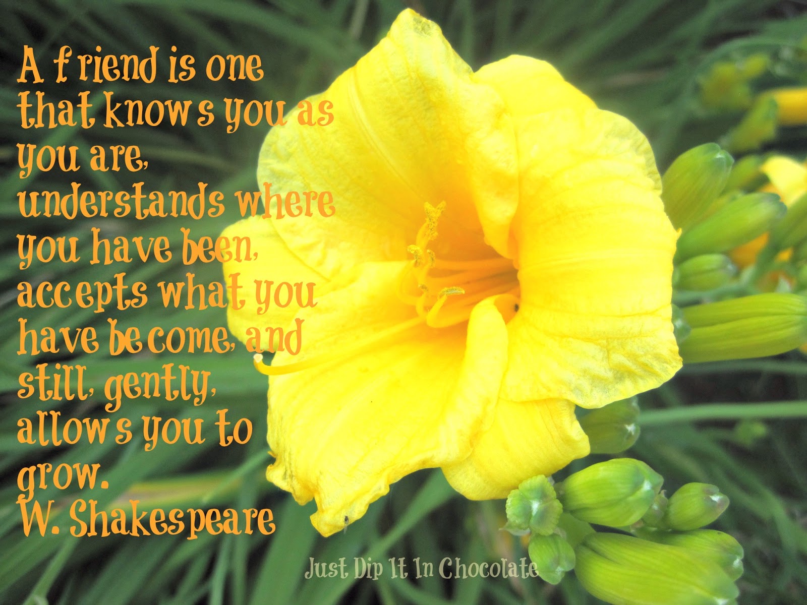 blessed-with-friends-quotes-quotesgram